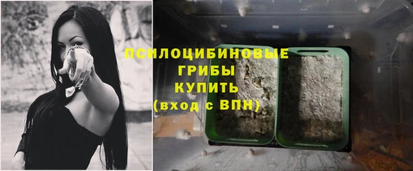 гидропоника Ельня
