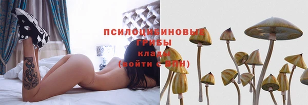 Альфа ПВП Зерноград