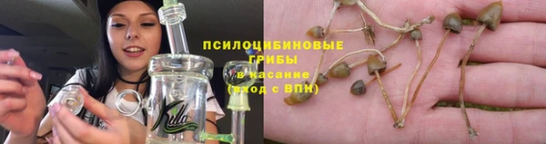 дживик Заволжск