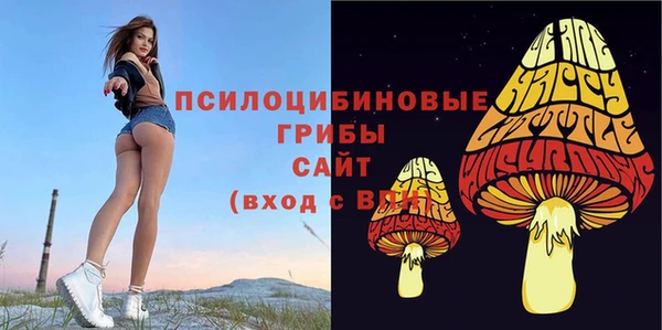 молекула духа Зеленодольск